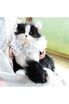 Tuxedo Cat Doll Backpack